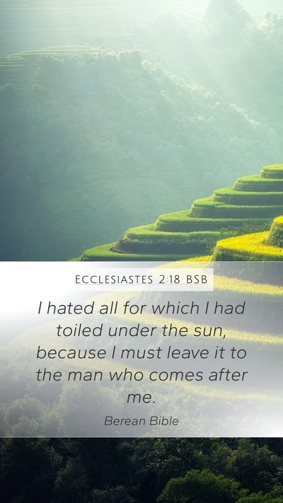 Ecclesiastes 2:18 BSB Bible Verse Image