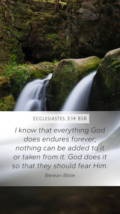 Ecclesiastes 3:14 BSB Bible Verse Image