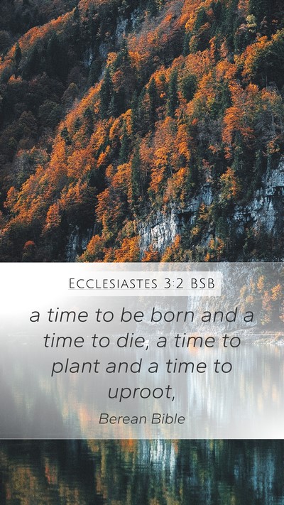 Ecclesiastes 3:2 BSB Bible Verse Image
