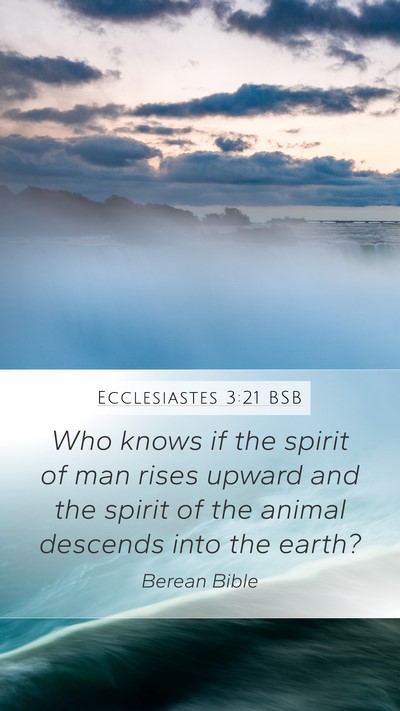 Ecclesiastes 3:21 BSB Bible Verse Image