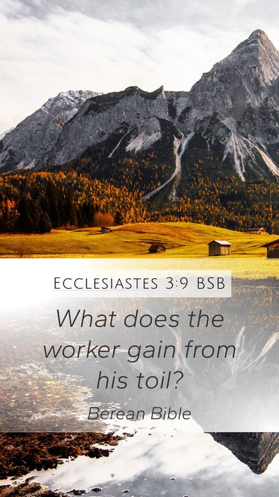 Ecclesiastes 3:9 BSB Bible Verse Image