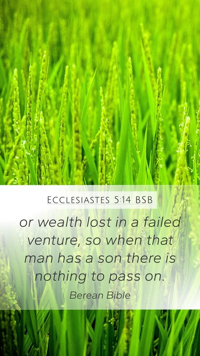 Ecclesiastes 5:14 BSB Bible Verse Image