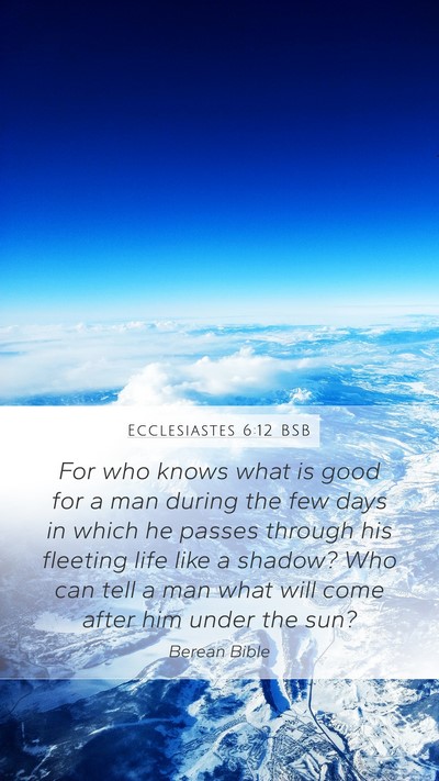 Ecclesiastes 6:12 BSB Bible Verse Image