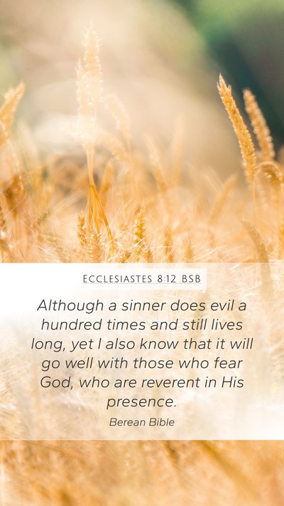 Ecclesiastes 8:12 BSB Bible Verse Image