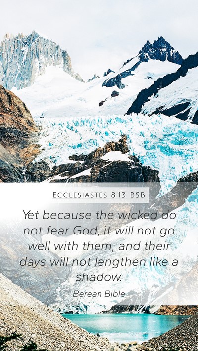 Ecclesiastes 8:13 BSB Bible Verse Image