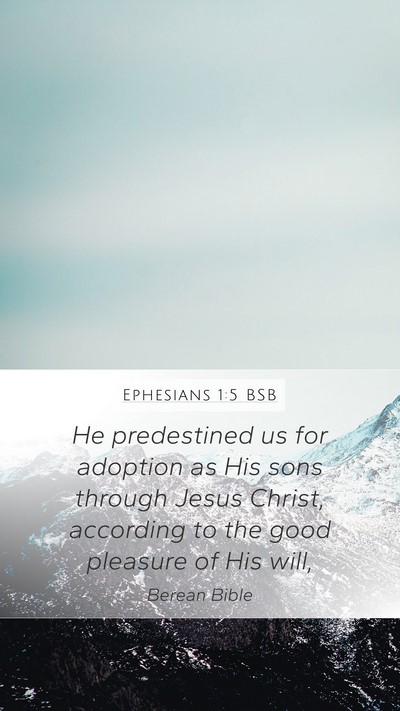 Ephesians 1:5 BSB Bible Verse Image
