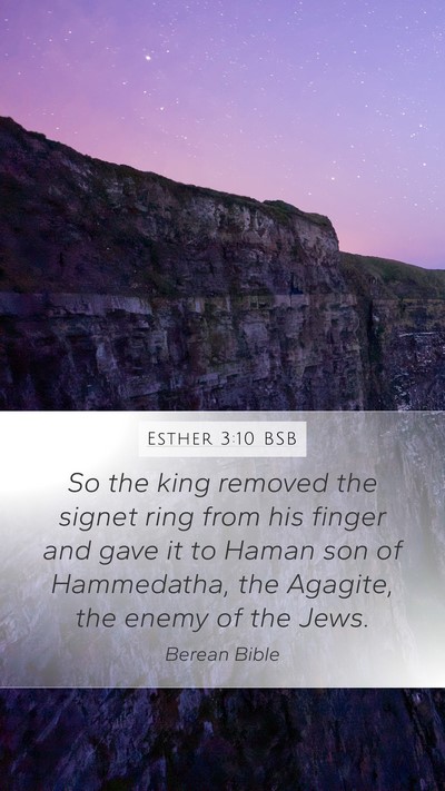 Esther 3:10 BSB Bible Verse Image