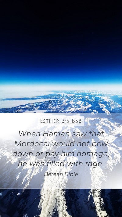 Esther 3:5 BSB Bible Verse Image