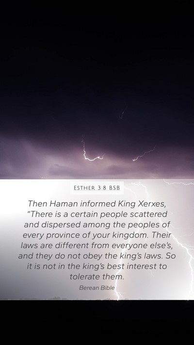 Esther 3:8 BSB Bible Verse Image