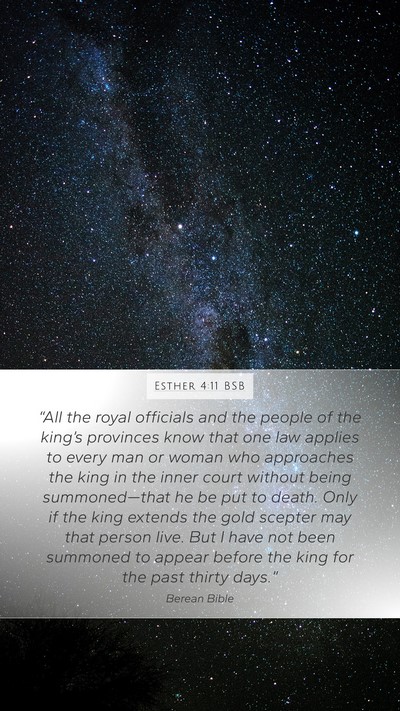 Esther 4:11 BSB Bible Verse Image