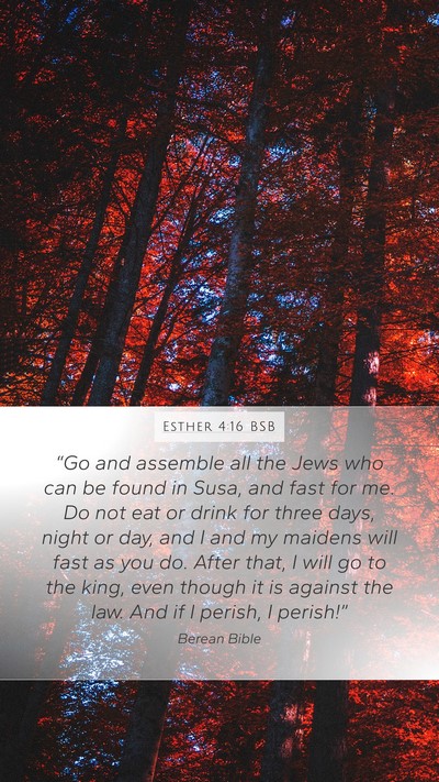 Esther 4:16 BSB Bible Verse Image