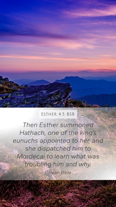 Esther 4:5 BSB Mobile Phone Wallpaper - Then Esther summoned Hathach, one of the king’s - Mobile Bible Verse Wallpaper
