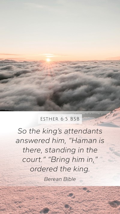Esther 6:5 BSB Mobile Phone Wallpaper - So the king’s attendants answered him, “Haman - Mobile Bible Verse Wallpaper