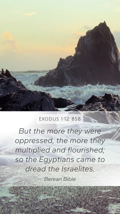 Exodus 1:12 BSB Bible Verse Image
