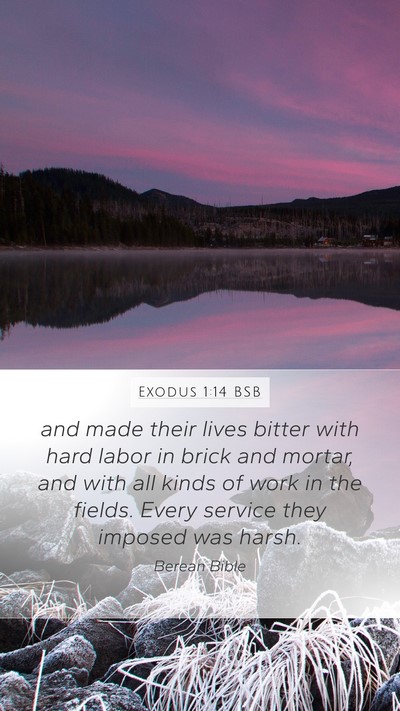 Exodus 1:14 BSB Bible Verse Image