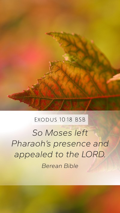 Exodus 10:18 BSB Bible Verse Image