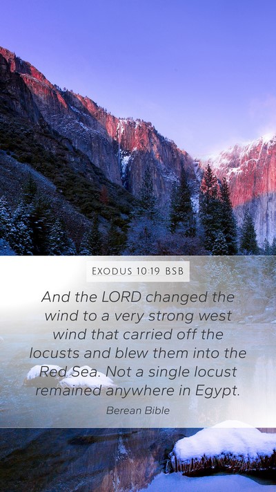 Exodus 10:19 BSB Bible Verse Image