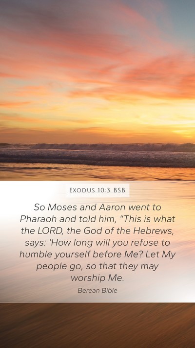Exodus 10:3 BSB Bible Verse Image