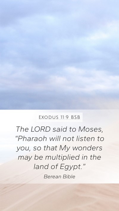 Exodus 11:9 BSB Bible Verse Image