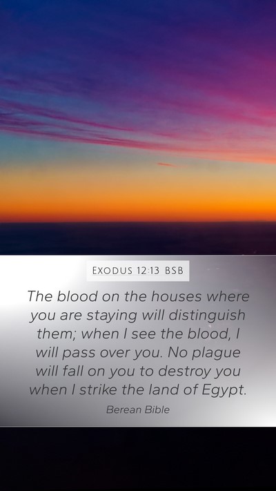 Exodus 12:13 BSB Bible Verse Image