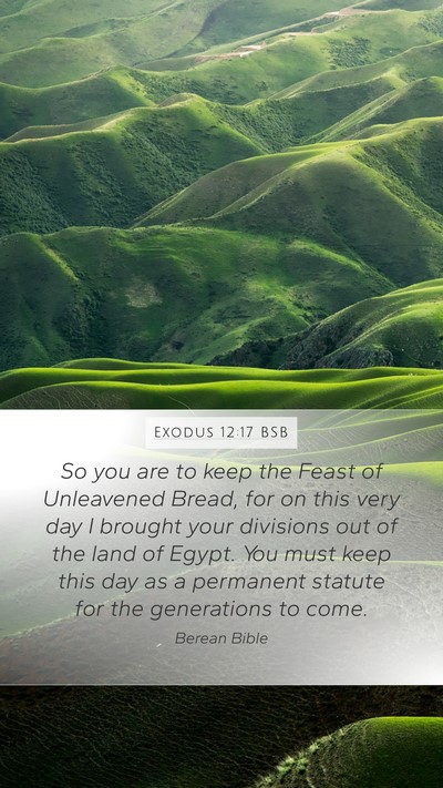 Exodus 12:17 BSB Bible Verse Image