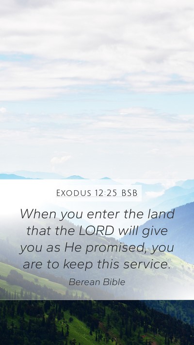 Exodus 12:25 BSB Bible Verse Image
