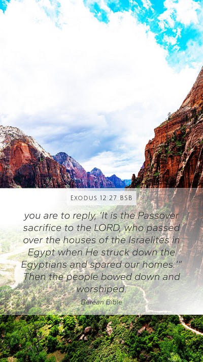 Exodus 12:27 BSB Bible Verse Image