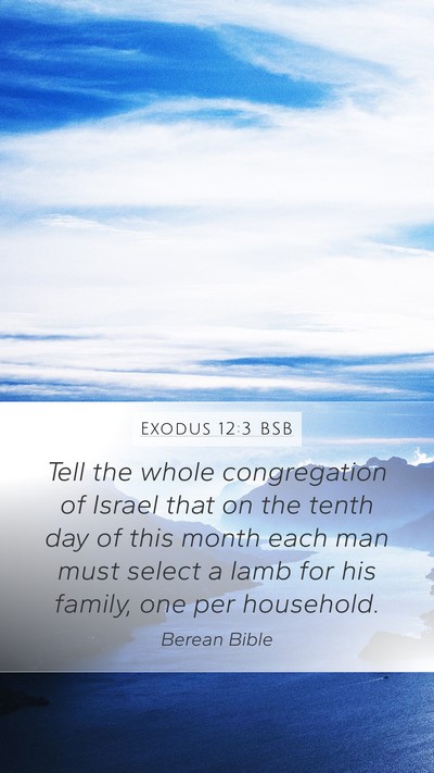 Exodus 12:3 BSB Bible Verse Image