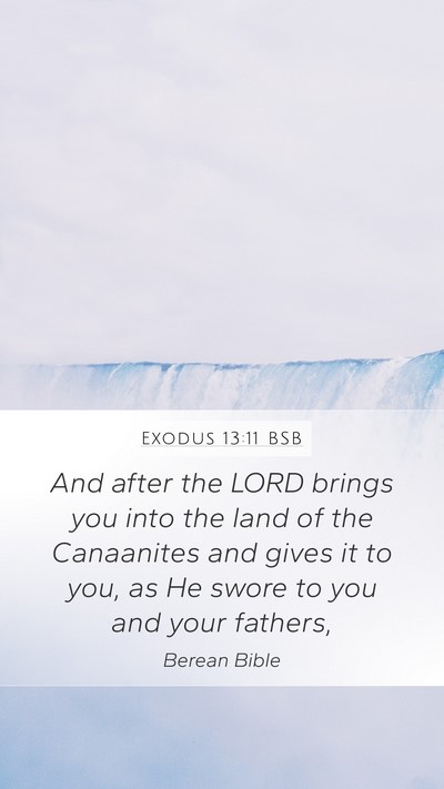 Exodus 13:11 BSB Mobile Phone Wallpaper - And after the LORD brings you into the land of - Mobile Bible Verse Wallpaper