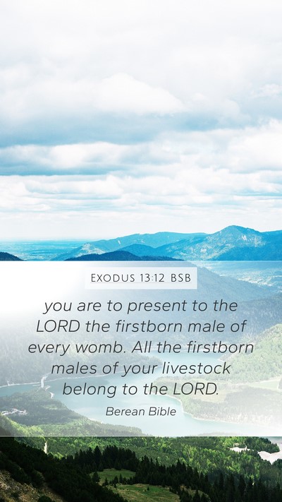 Exodus 13:12 BSB Bible Verse Image