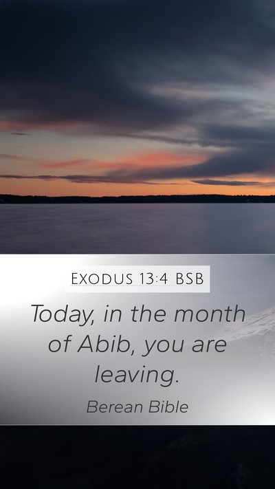 Exodus 13:4 BSB Bible Verse Image