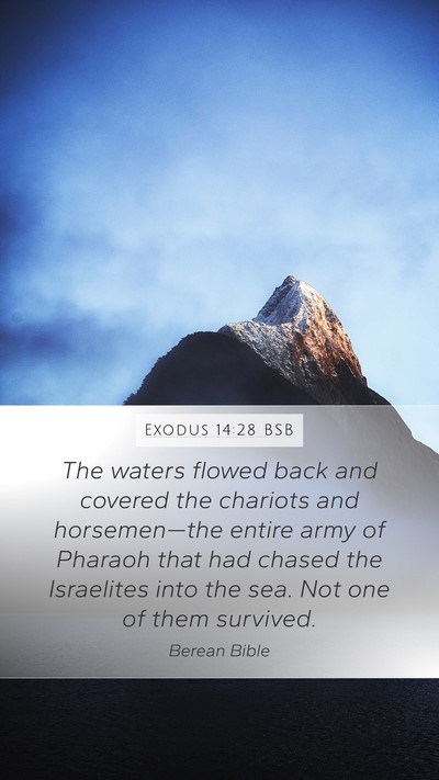 Exodus 14:28 BSB Bible Verse Image