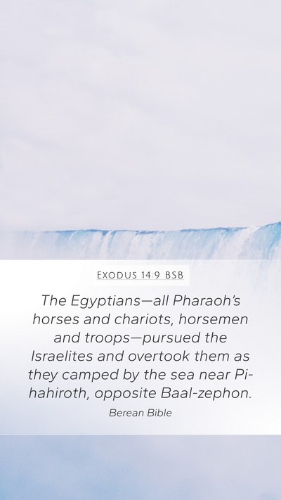 Exodus 14:9 BSB Bible Verse Image