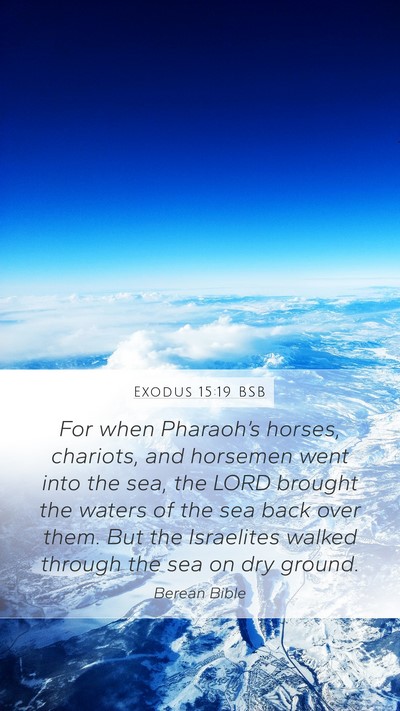 Exodus 15:19 BSB Bible Verse Image