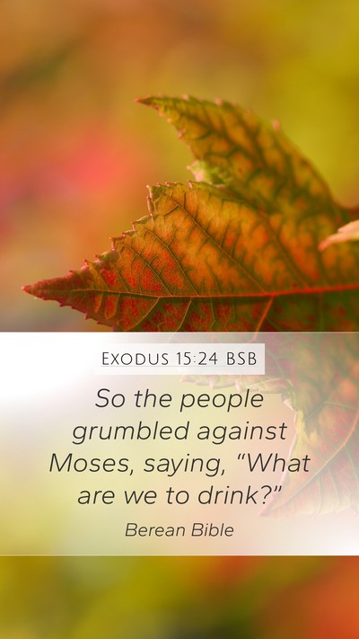 Exodus 15:24 BSB Bible Verse Image