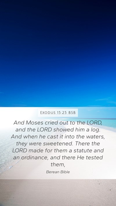 Exodus 15:25 BSB Bible Verse Image