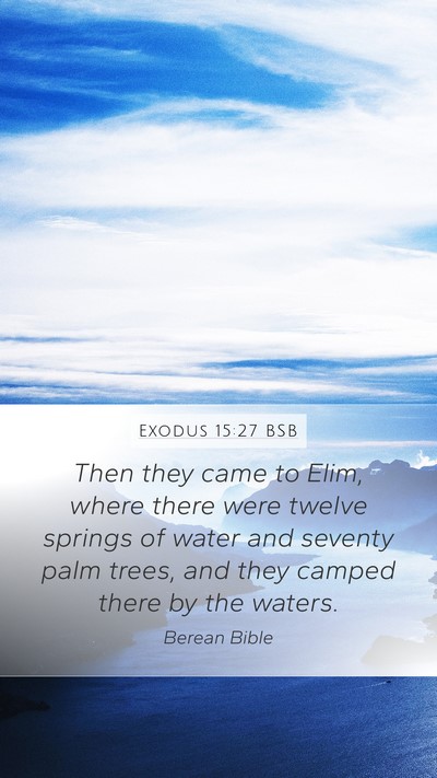 Exodus 15:27 BSB Bible Verse Image