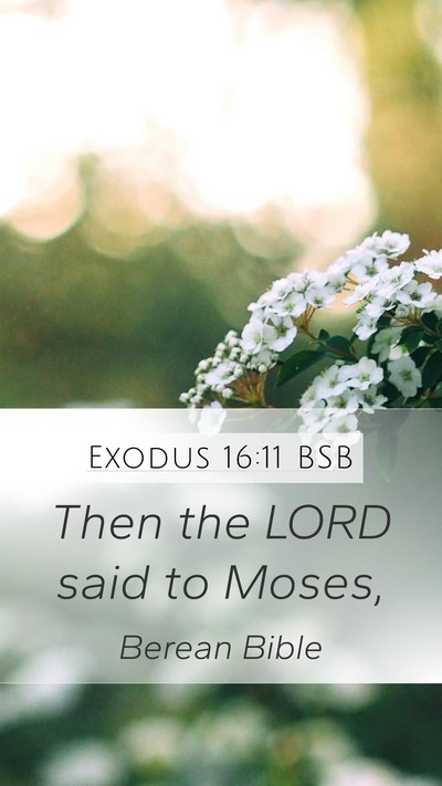 Exodus 16:11 BSB Mobile Phone Wallpaper - Then the LORD said to - Mobile Bible Verse Wallpaper