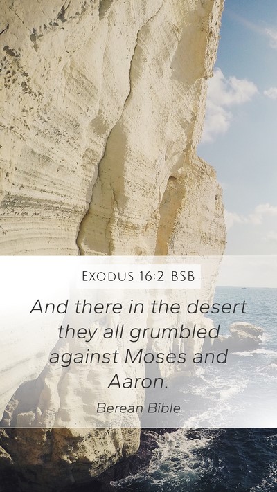 Exodus 16:2 BSB Bible Verse Image
