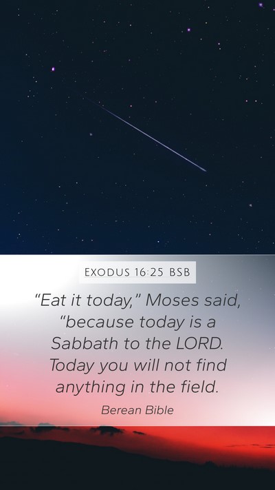 Exodus 16:25 BSB Bible Verse Image