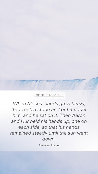 Exodus 17:12 BSB Bible Verse Image