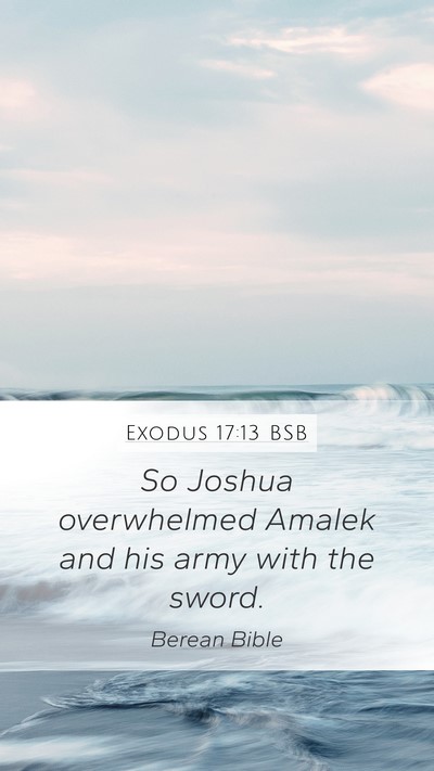 Exodus 17:13 BSB Bible Verse Image