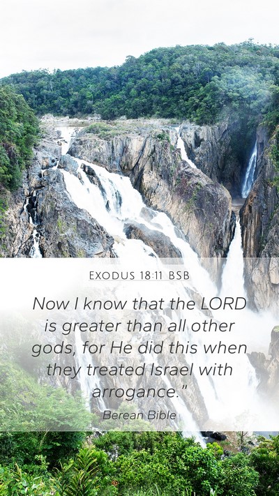 Exodus 18:11 BSB Bible Verse Image