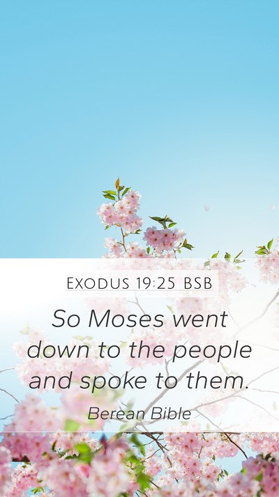 Exodus 19:25 BSB Mobile Phone Wallpaper - So Moses went down to the people and spoke to - Mobile Bible Verse Wallpaper