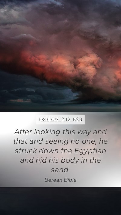 Exodus 2:12 BSB Mobile Phone Wallpaper - After looking this way and that and seeing no - Mobile Bible Verse Wallpaper