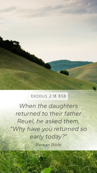 Exodus 2:18 BSB Bible Verse Image