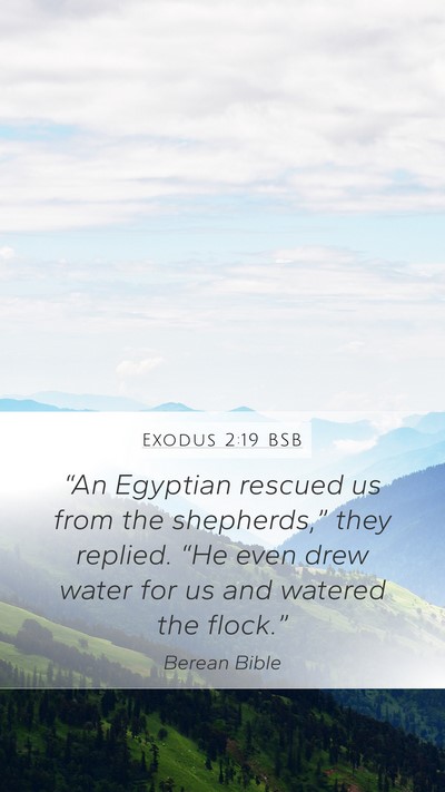Exodus 2:19 BSB Bible Verse Image