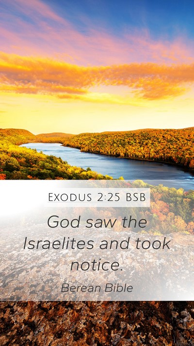 Exodus 2:25 BSB Bible Verse Image
