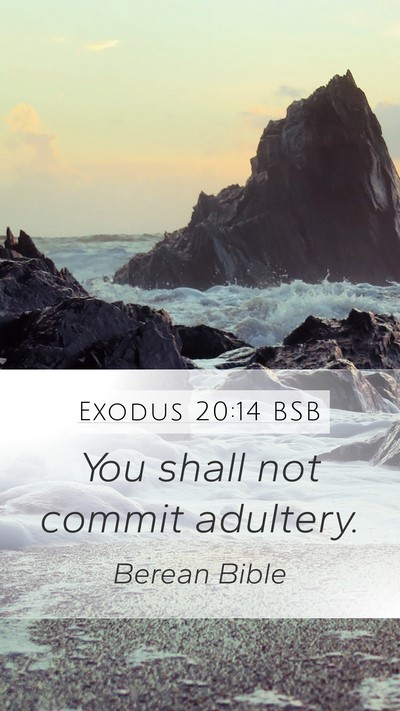 Exodus 20:14 BSB Bible Verse Image