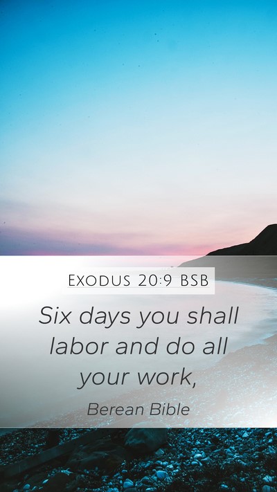 Exodus 20:9 BSB Bible Verse Image